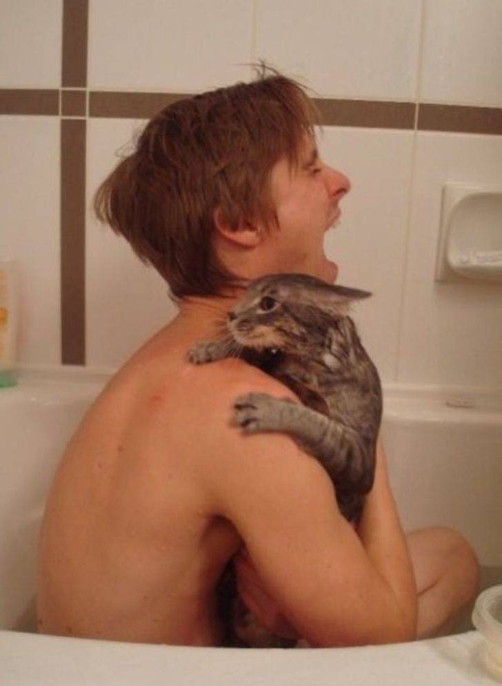 man bathing with cat gets clawed
