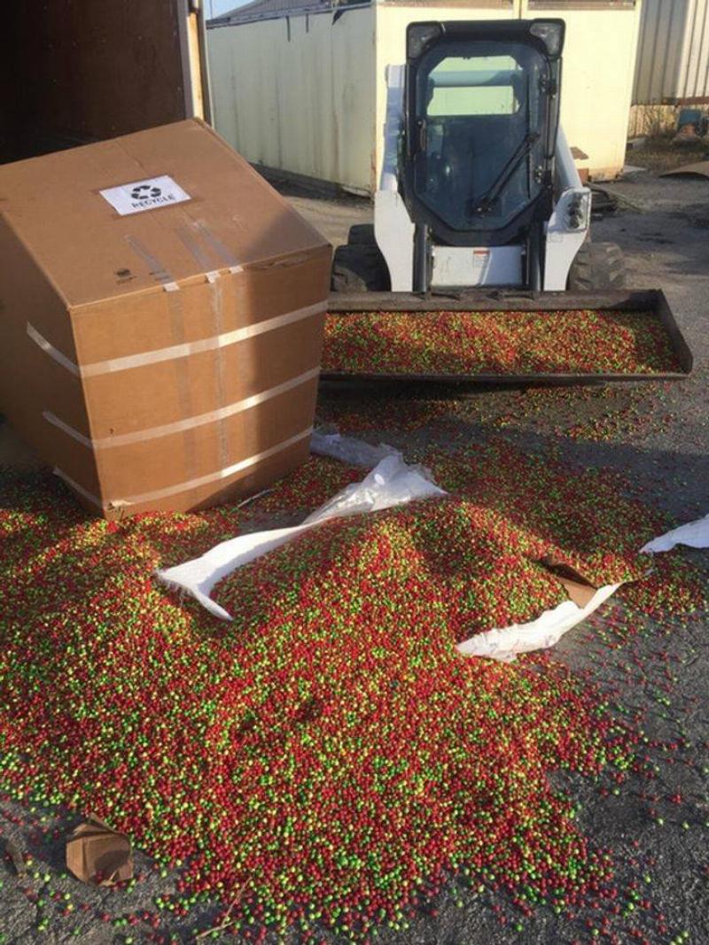 large box of skittles spilled while shipping