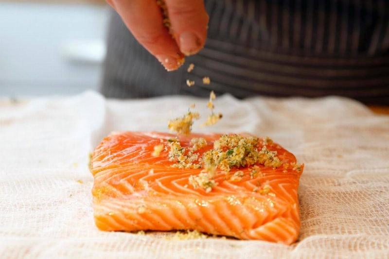 salmon