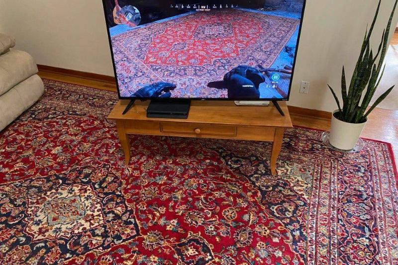 rug on television matches the rug in the home