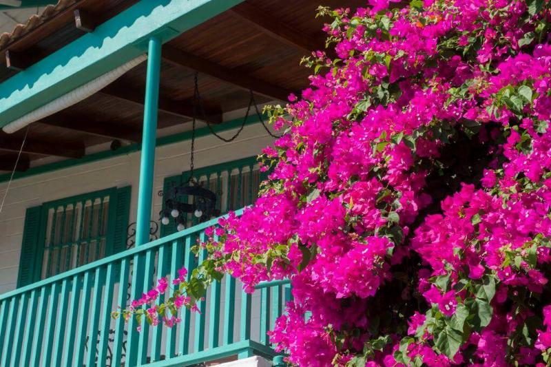 60072077-64106-29052