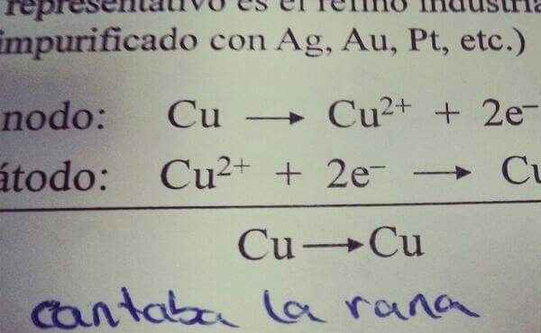 31-Renov-Niños-Examenes-Graciosos-21-51689-58588.jpg