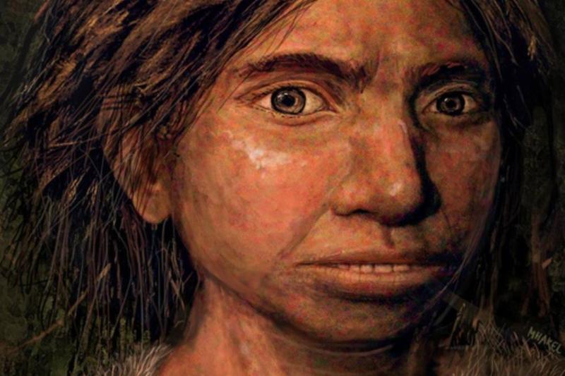 An artist's depiction shows the face of an ancient Denisovan.