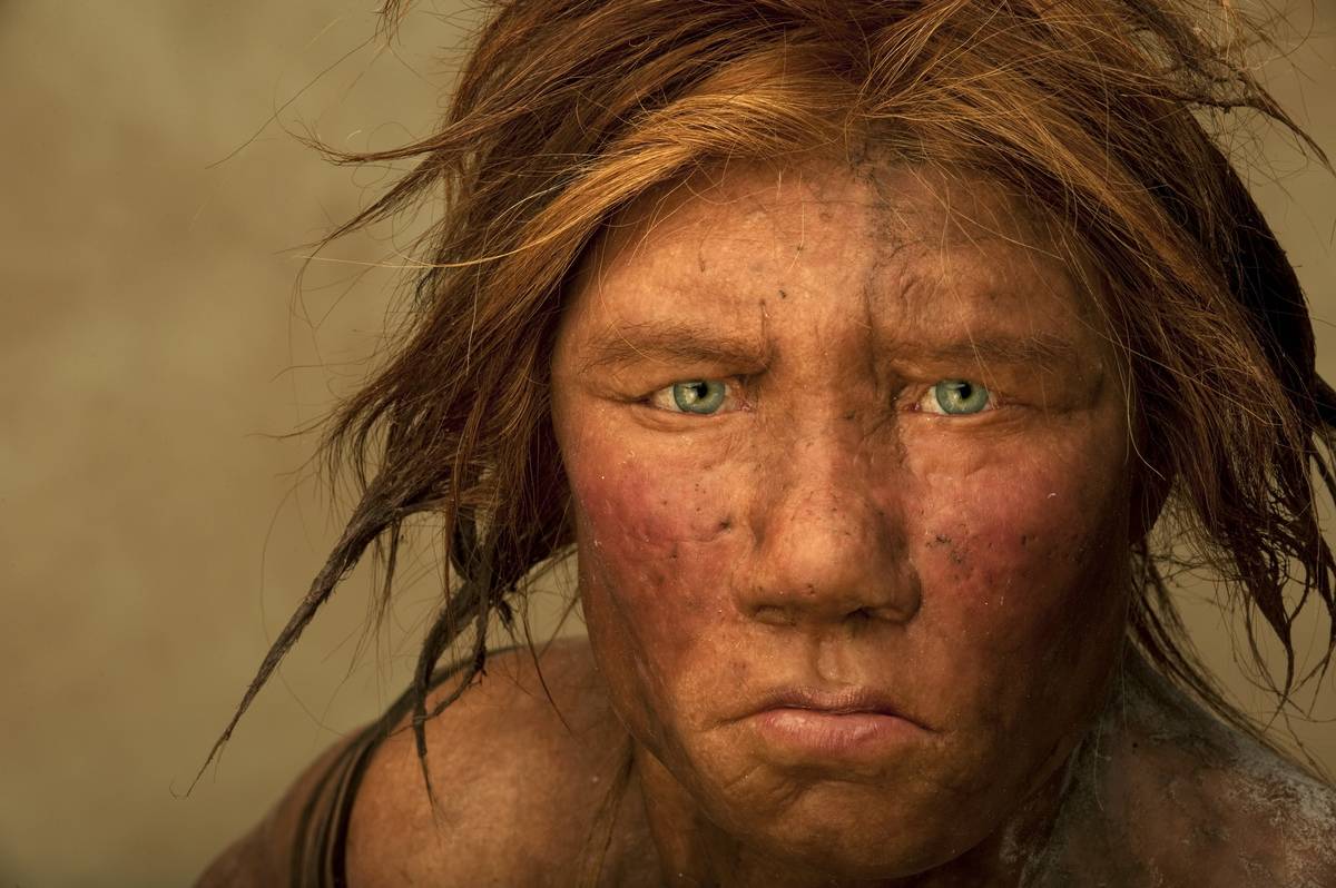 This model shows the face of an ancient human woman.