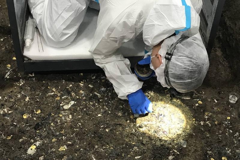 An archaeologist excavates in a pit.