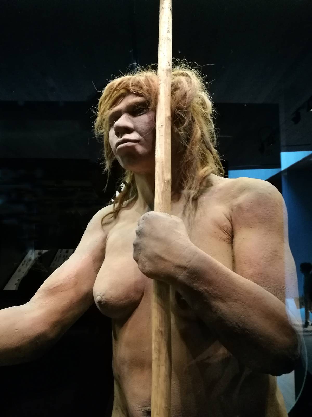A model of a Neanderthal woman from the Sidron Cave is in a museum.