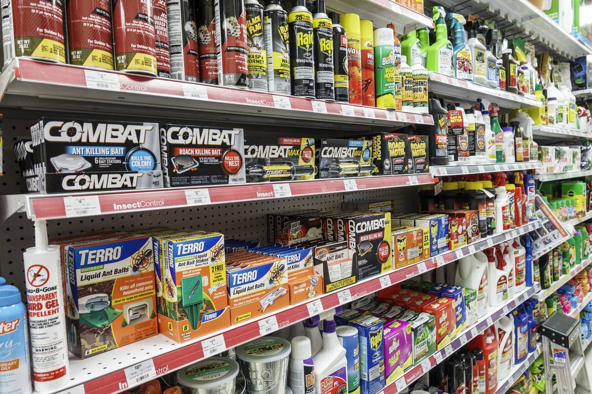 Orlando, Ace Hardware, Raid, Combat ant bait