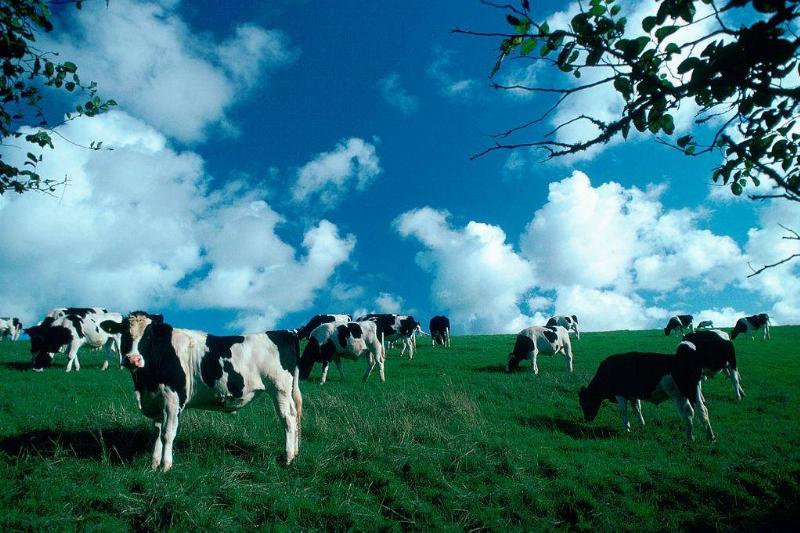 GettyImages-53043337-78830