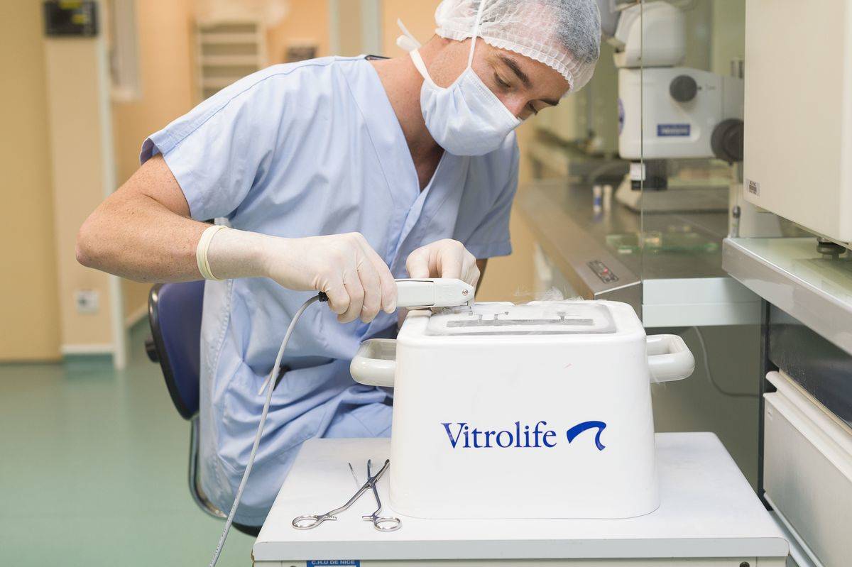 A biologist performs in vitro fertilization.