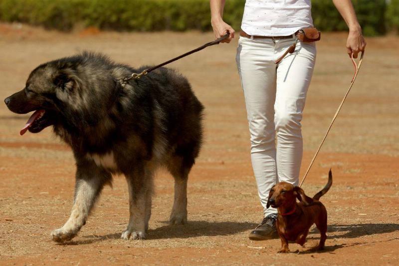 GettyImages-607023132-86209