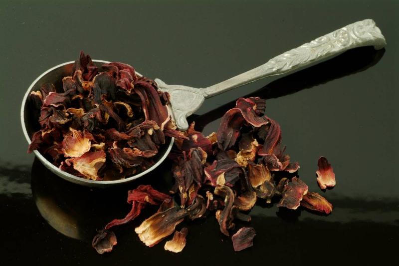 Medicinal Plant and Tea. Dried Blossoms Of Roselle. Hibiscus Sabdariffa.