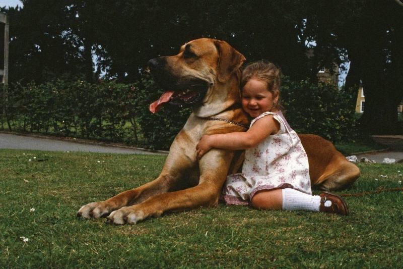 GettyImages-851721662-39328