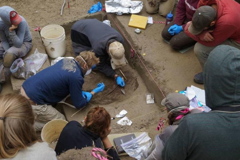 Potter and his team excavate bones.