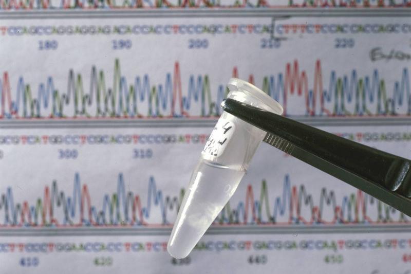A researcher holds up a test tube with a DNA sample they're studying.