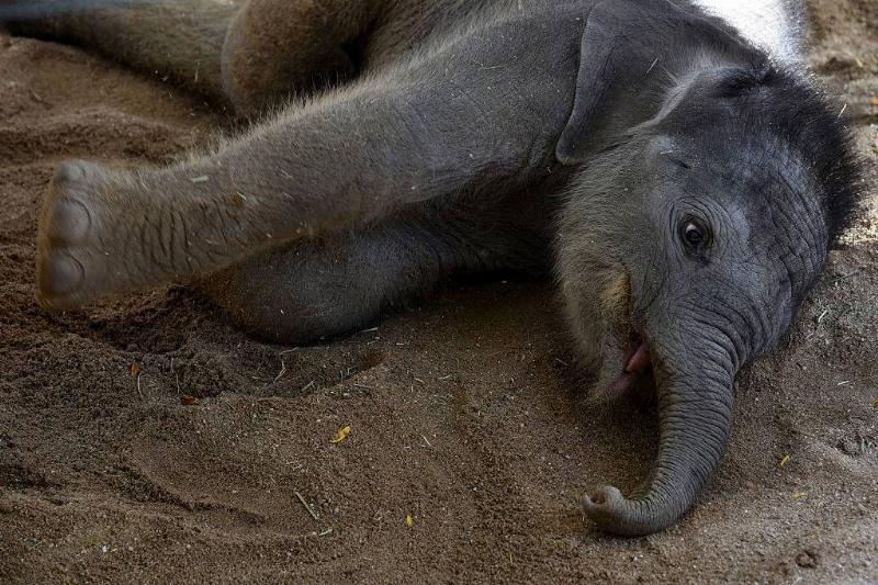 GettyImages-618601080