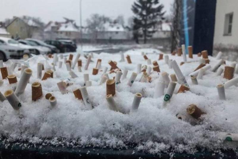 07 Traduc Fallas Higado 30