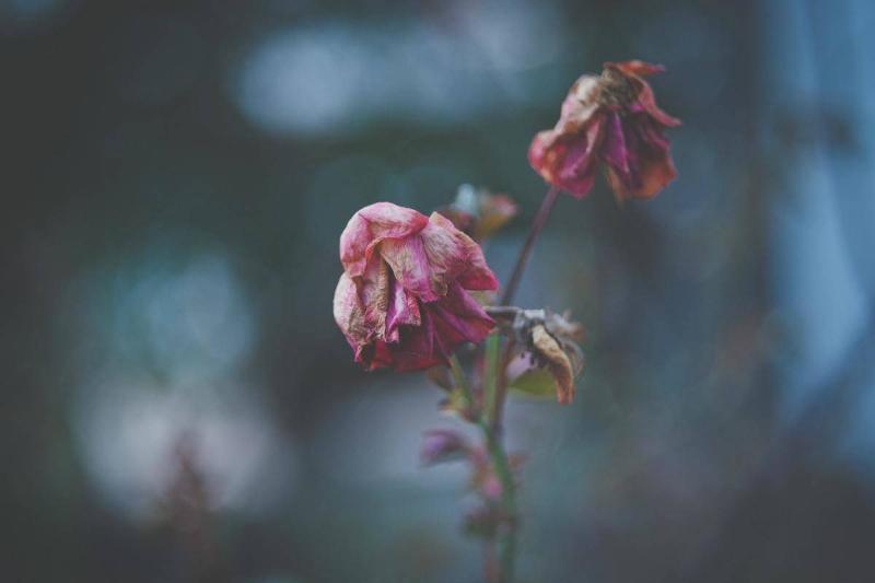 silvestri-matteo-L3fpHBSg8ms-unsplash