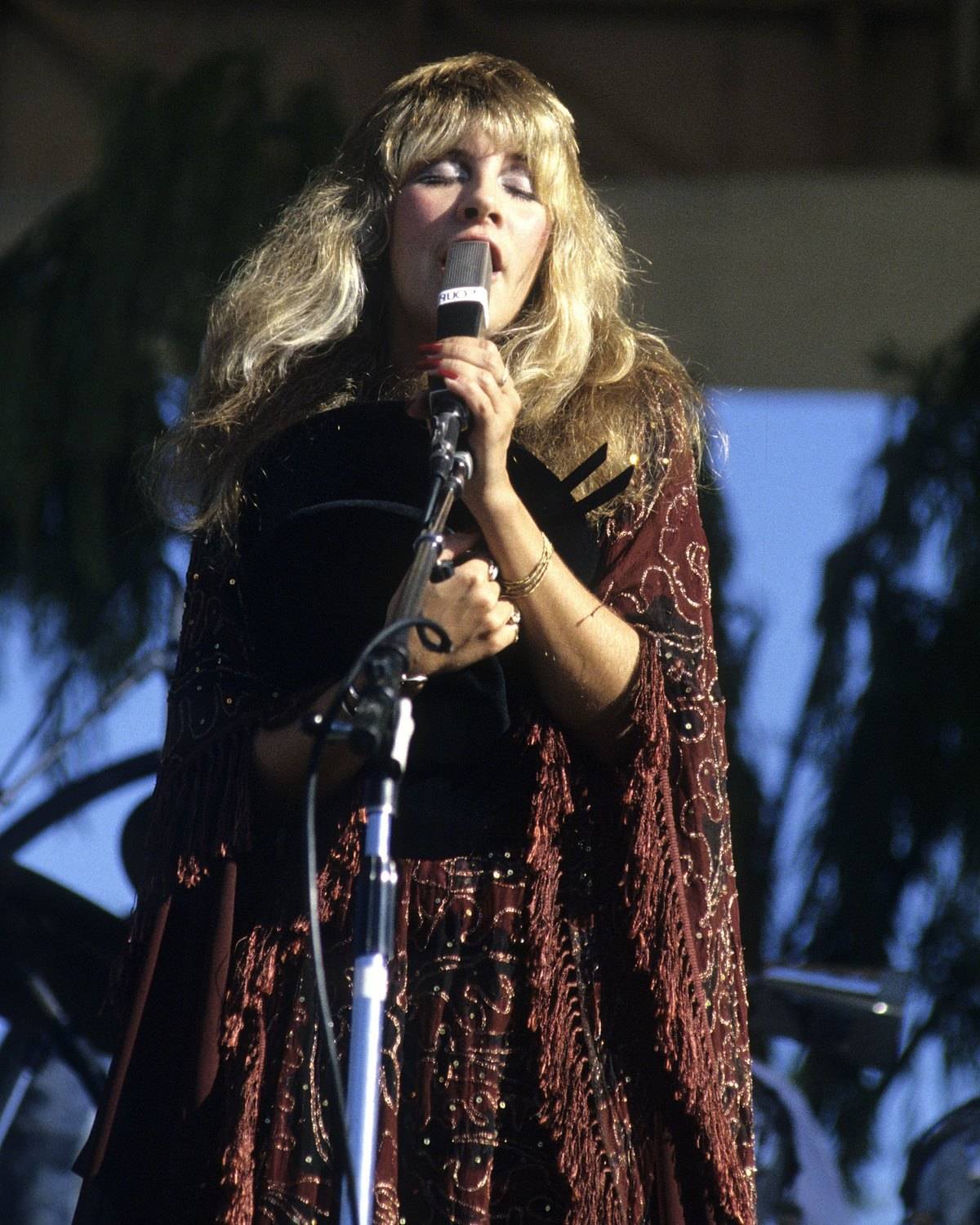 Stevie Nicks live
