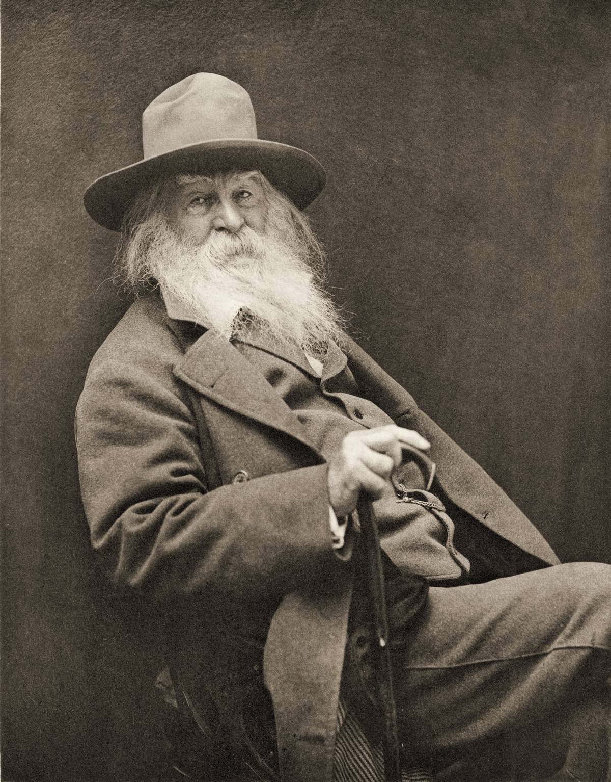 Portrait Of Walt Whitman