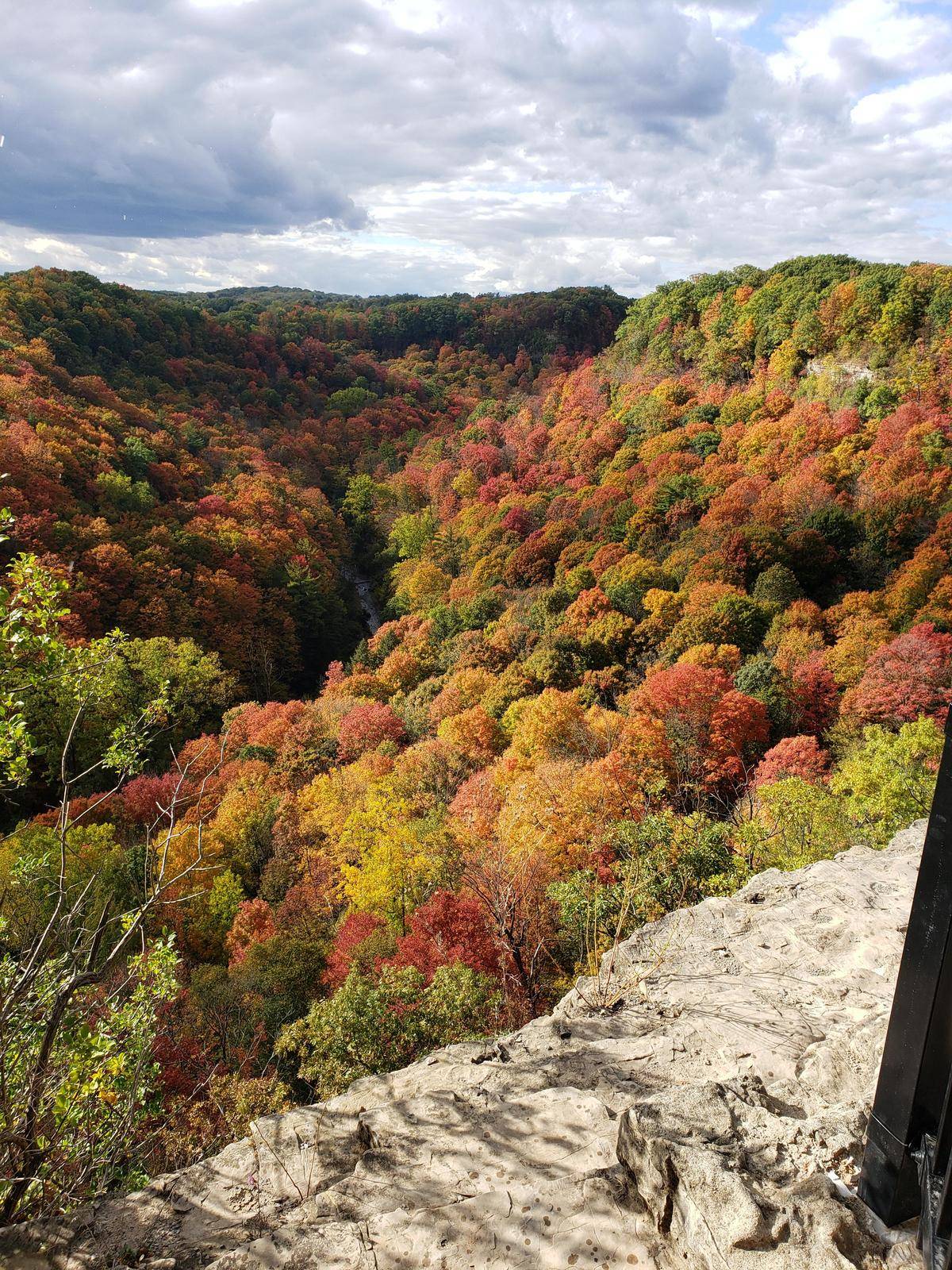 dundas peak fall colors
