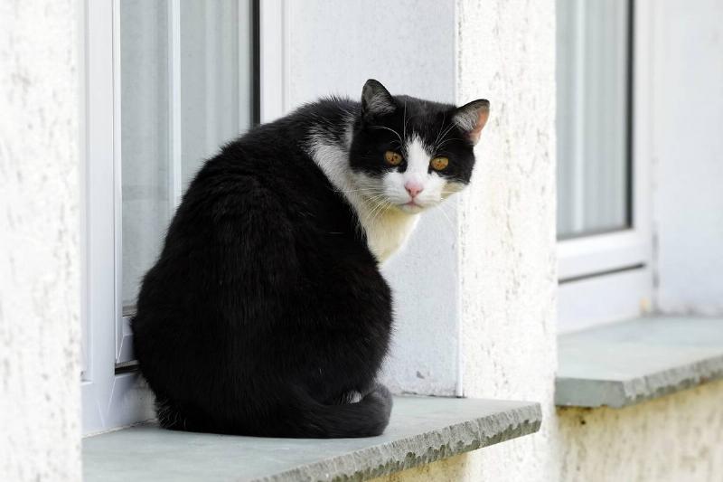 Lower Oder Valley National Park - Criewen