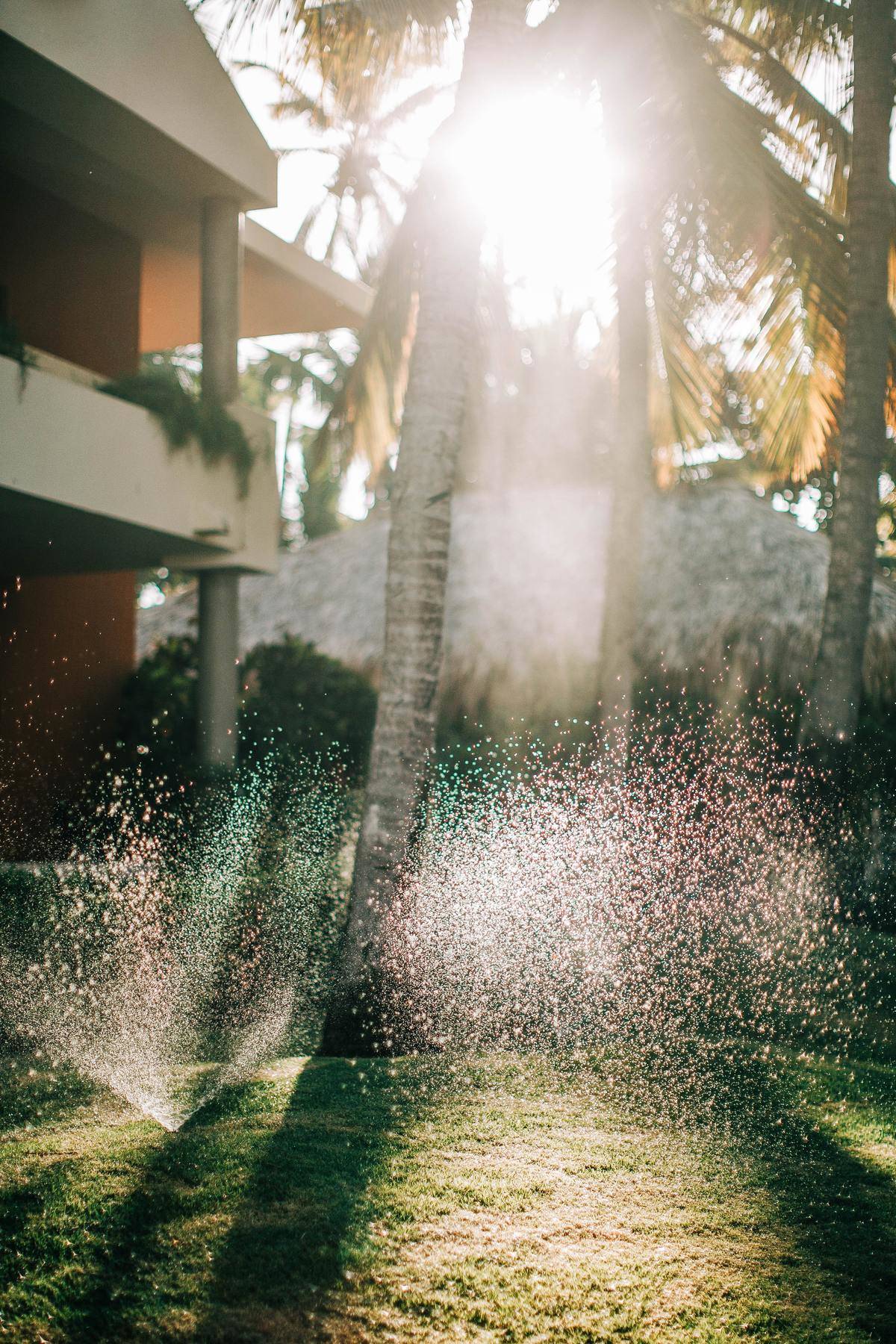 Sprinklers going off in a front yard