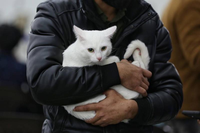 Russia-Ukraine Conflict: Students Evacuated By Indian Government From Ukraine