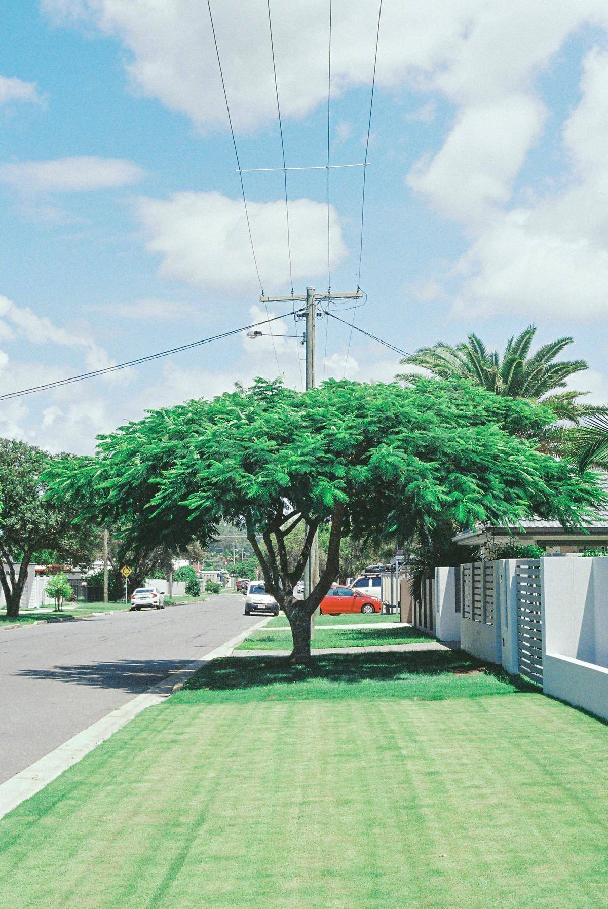 View down a neighborhood street