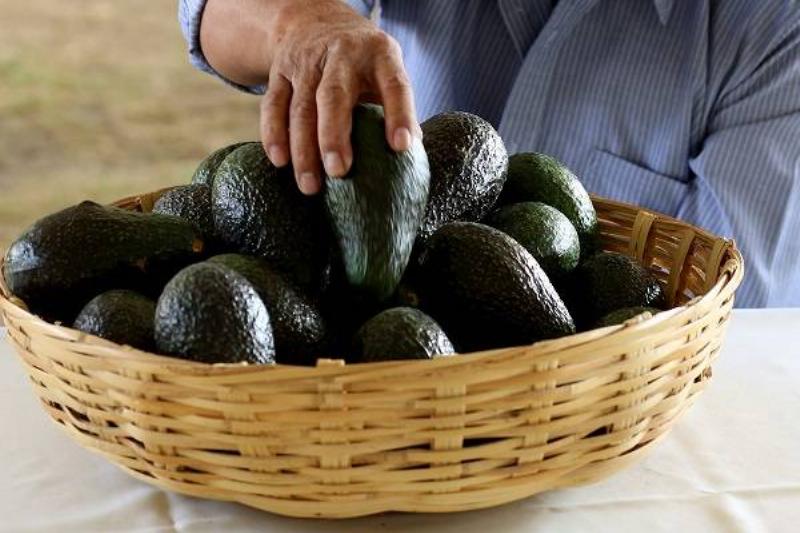 11 Renov Comidas Sanas 24