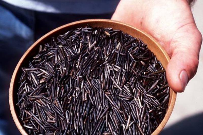 11 Renov Comidas Sanas 40