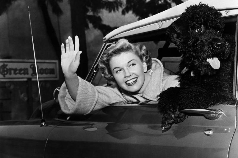 Doris Day*03.04.1924-Actress, USAwith a poodle in her car.- about 1955