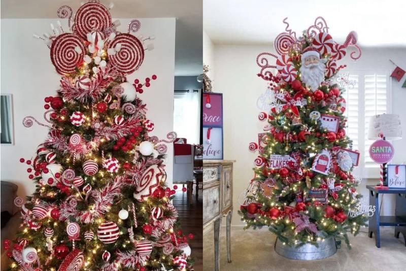 Collage Maker-16-Nov-2022-11.25-AM