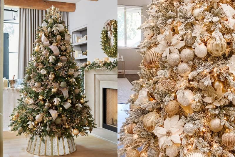 Collage Maker-16-Nov-2022-11.36-AM