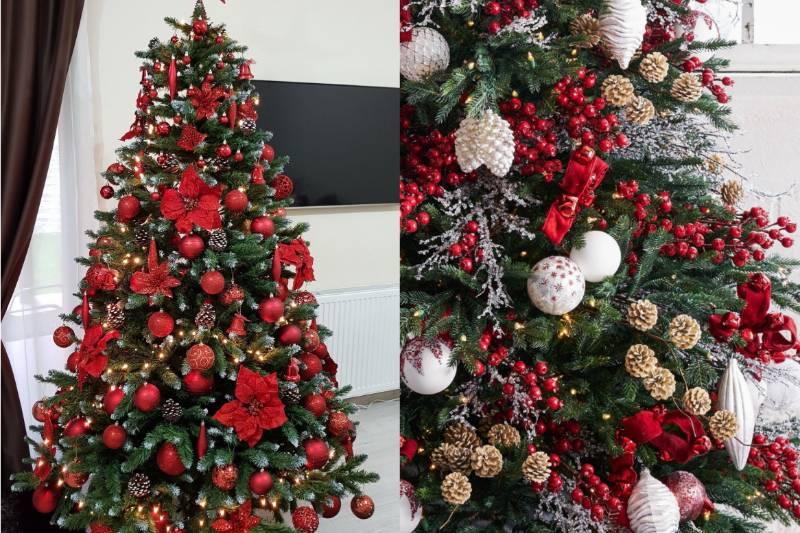 Collage Maker-16-Nov-2022-11.54-AM