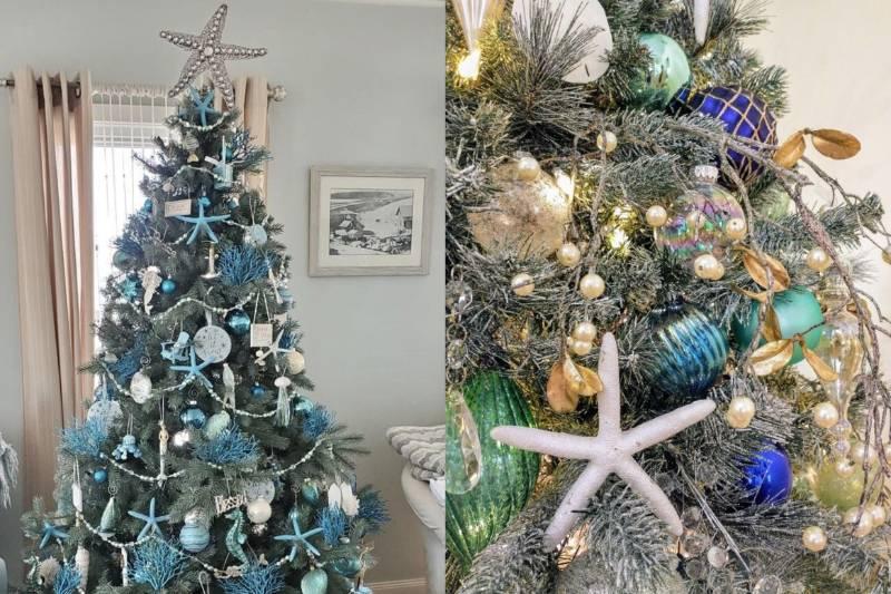 Collage Maker-16-Nov-2022-12.02-PM