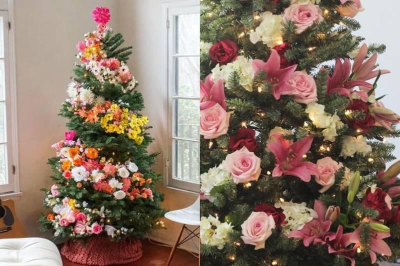 Collage Maker-16-Nov-2022-12.08-PM