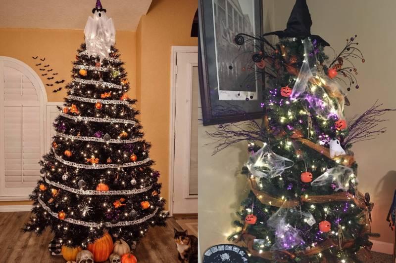 Collage Maker-16-Nov-2022-12.27-PM