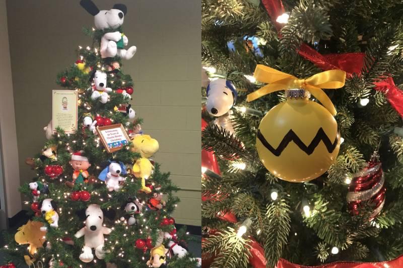 Collage Maker-17-Nov-2022-08.45-AM