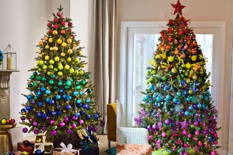 Collage Maker-17-Nov-2022-08.51-AM