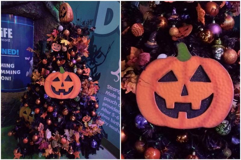 Christmas tree decorated with artificial jack-o-lanterns and leaves to look Halloweeny