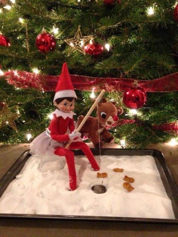 Elf-on-the-Shelf