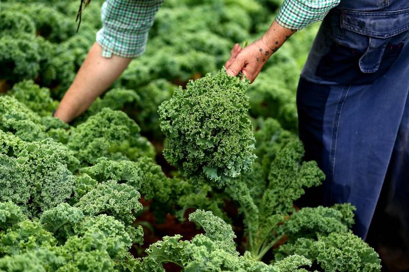 GettyImages-1230663436