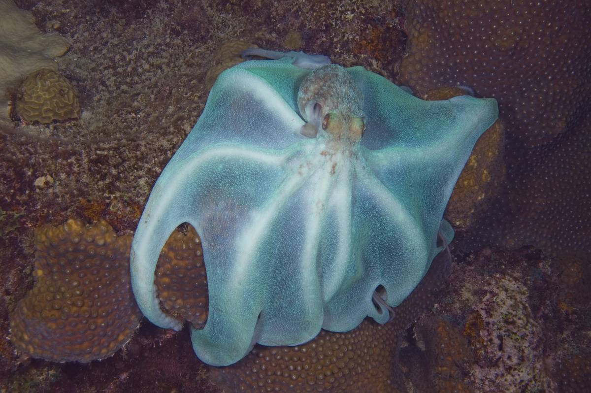 GettyImages-146141255