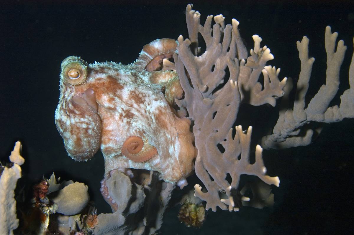 GettyImages-146141424