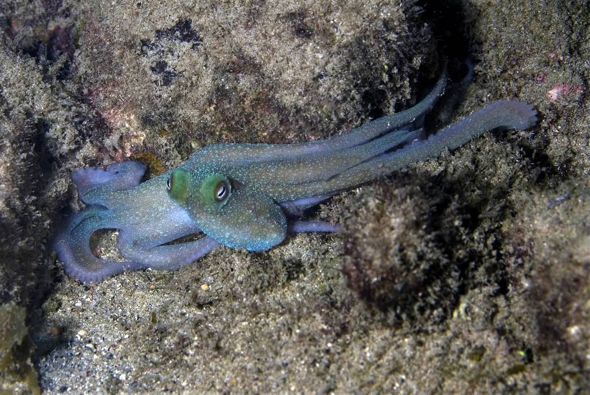 GettyImages-146141751