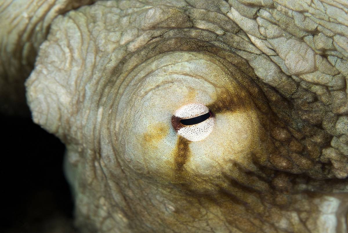 GettyImages-146142445