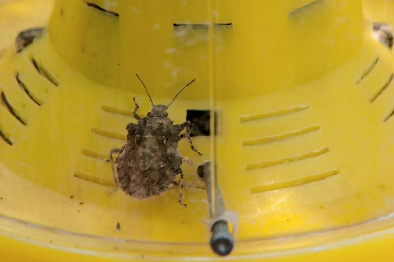 To go With AFP Story by Kerry Sheridan T