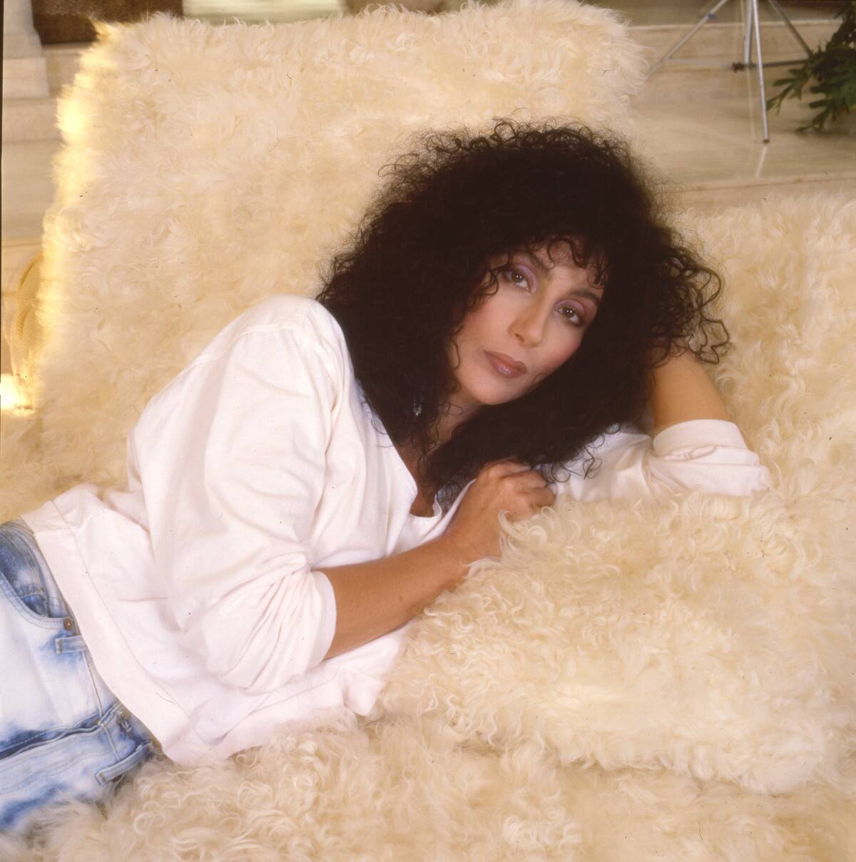 Portrait Of The Singer Cher