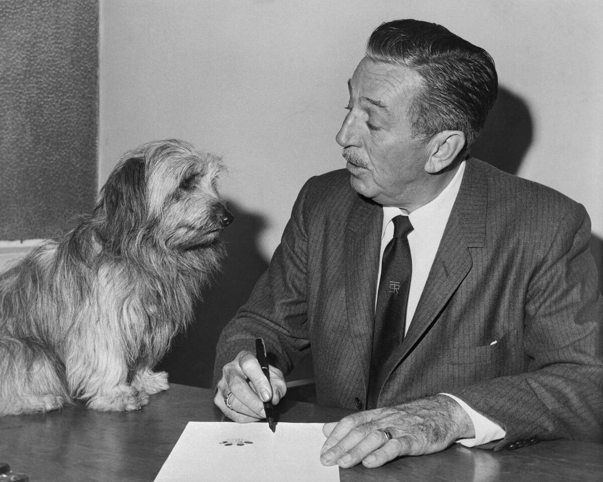 Walt Disney Signing Dog's Movie Contract