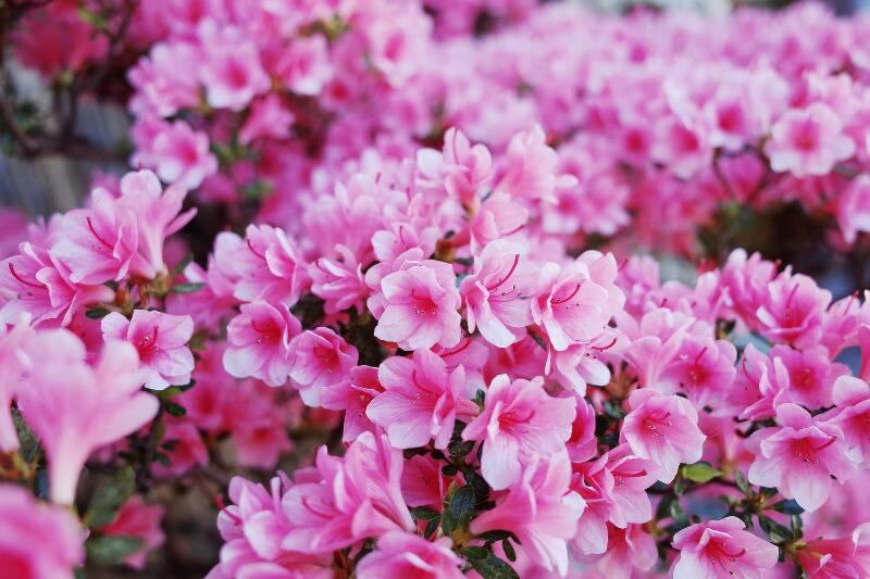 Untitled design (17)